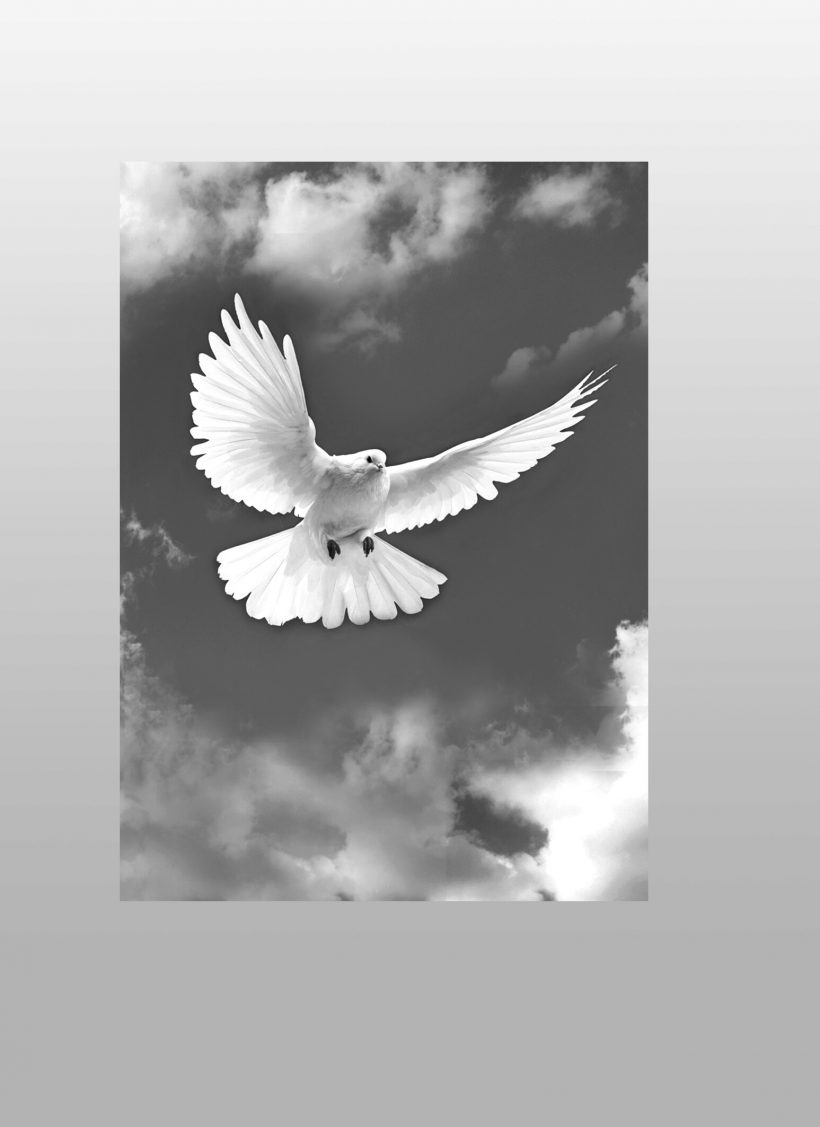 Для России с Любовью - книга Т.Н. Микушиной