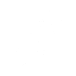 Микушина Т.Н. Выступления, интервью, комментарии к Учению Владык