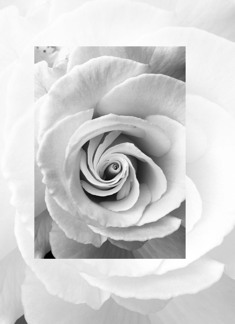 О любви и сексуальной энергии - книга Т.Н. Микушиной О любви и сексуальной энергии - книга Т.Н. Микушиной